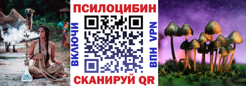 где купить   гидра зеркало  Галлюциногенные грибы ЛСД  Баксан 